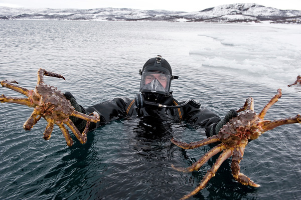NOKKN - Kirkenes - King Crab - Terje RakkeNordic Life - Visitnorway.com.jpg